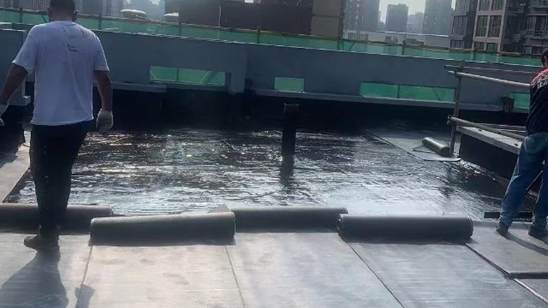 耐根穿刺防水卷材：揭秘十大品牌背后的技术奥秘