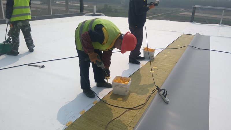 目前，市场上常见的农村自建房顶防水涂料主要有以下几种：